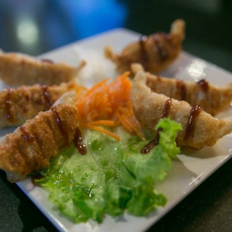 Pot Sticker (6).