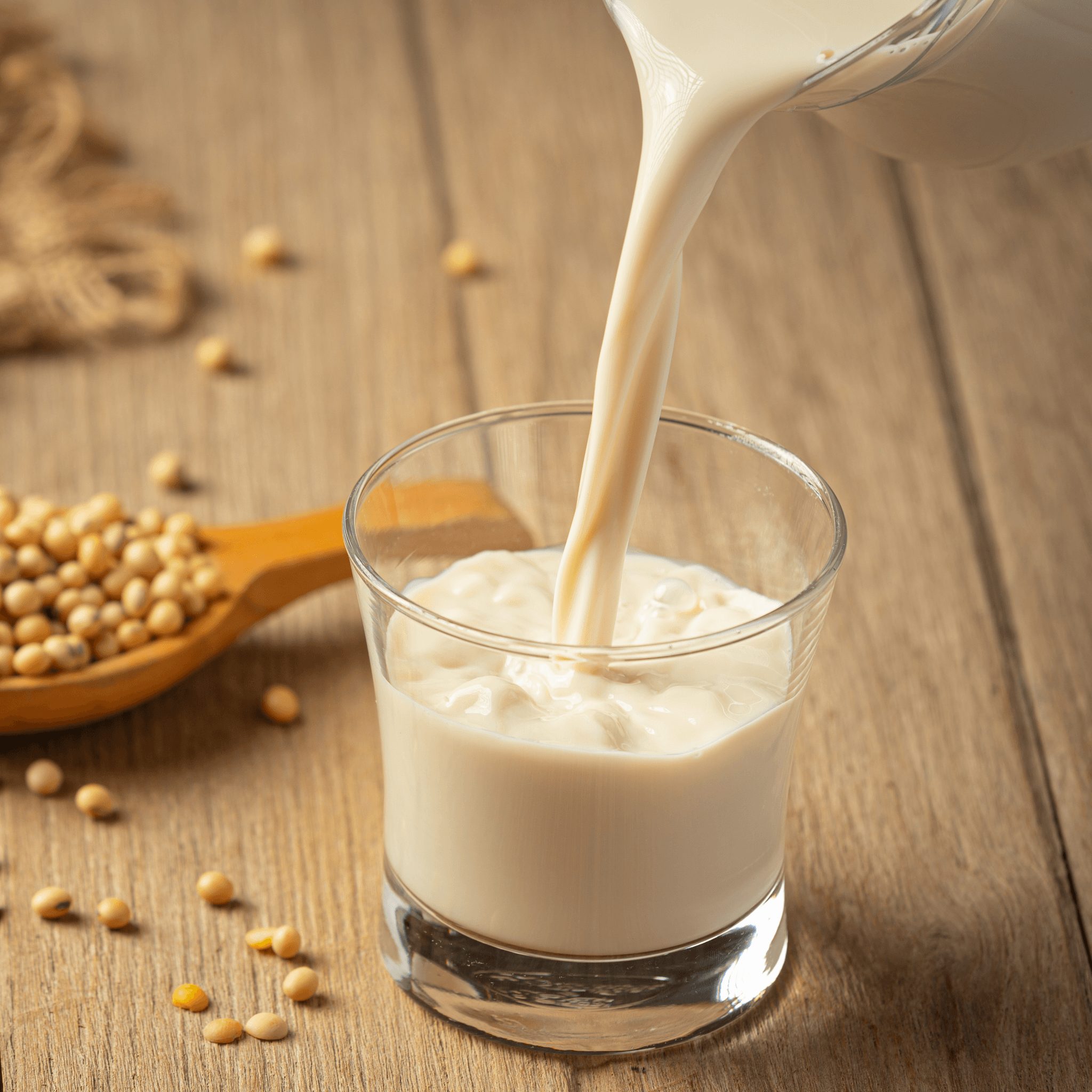 Soy Milk (Sua Dau Nanh).