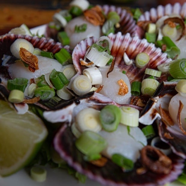 Scallops on the Half Shell (6).