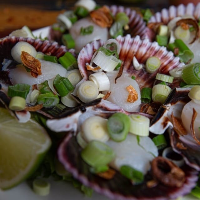Scallops on the Half Shell (6).
